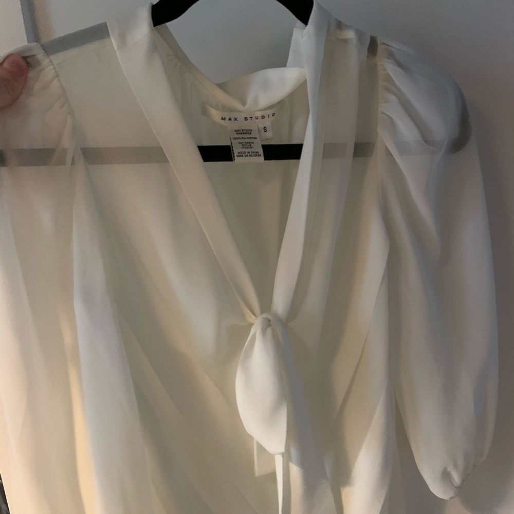 Max Studio sheer top
